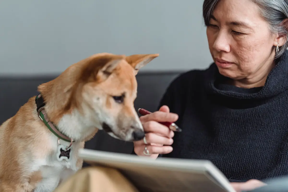 飼主在家查看寵物保險條款與醫療收據
