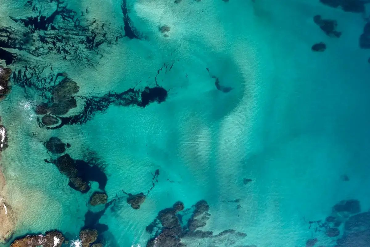 熱帶海岸局部海水呈現綠色的海面示意圖