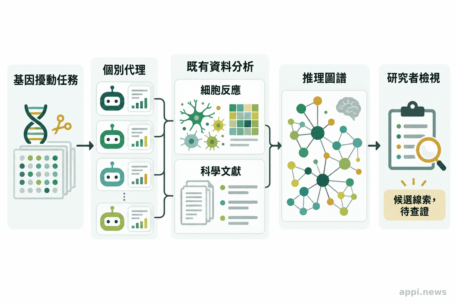 基因擾動任務經個別代理整理細胞反應與文獻,再彙整為供研究者檢視的推理圖譜。