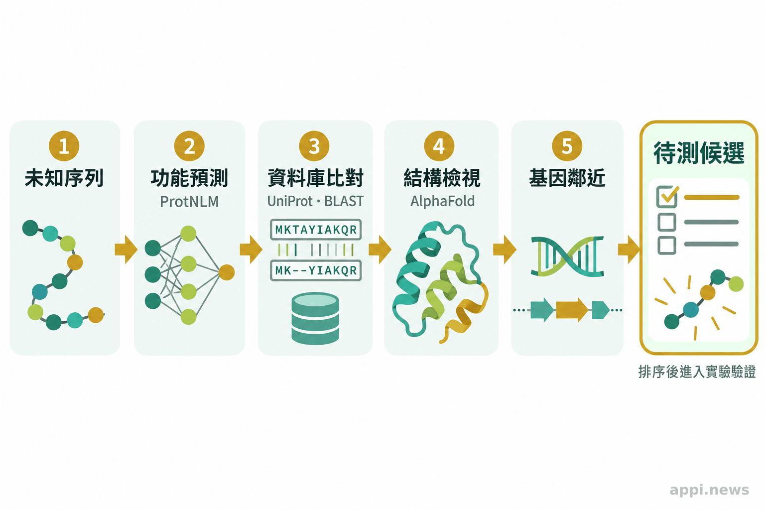 未知蛋白質序列依序經功能預測、資料庫比對、結構檢視與基因鄰近分析，最後列入待測候選清單。