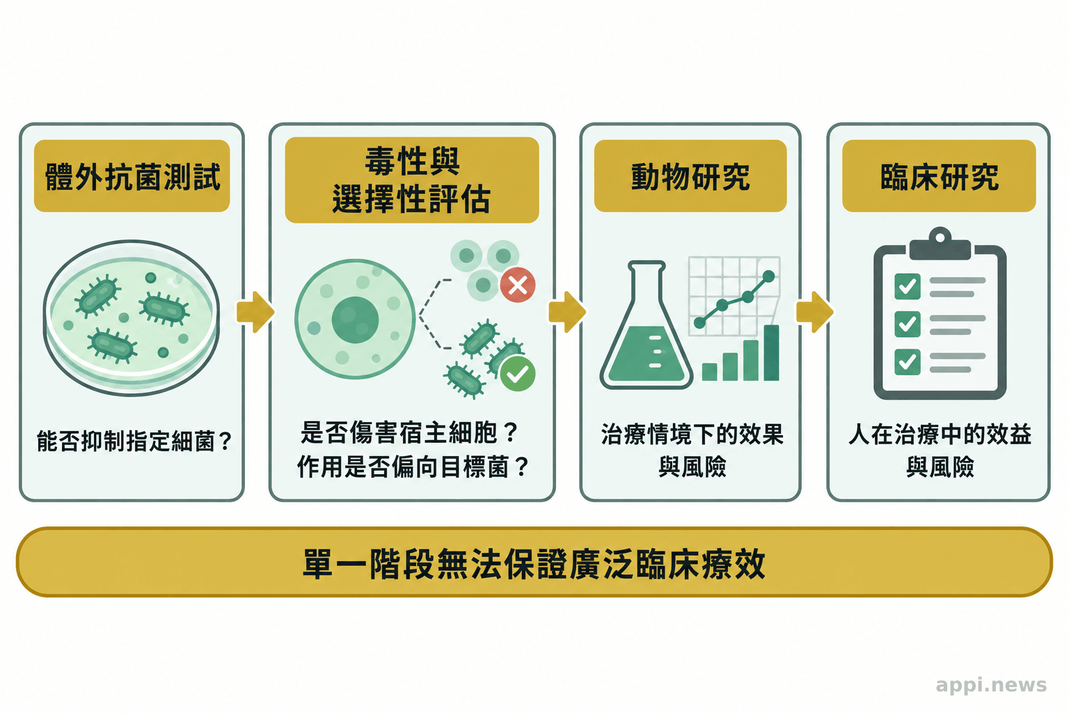 流程圖由體外抗菌測試進入毒性與選擇性評估，再延伸至動物研究與臨床研究，並標示各階段能回答的問題。
