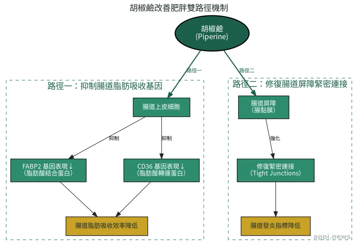 整粒黑胡椒與手動研磨器放在木碗旁，光線自然溫暖