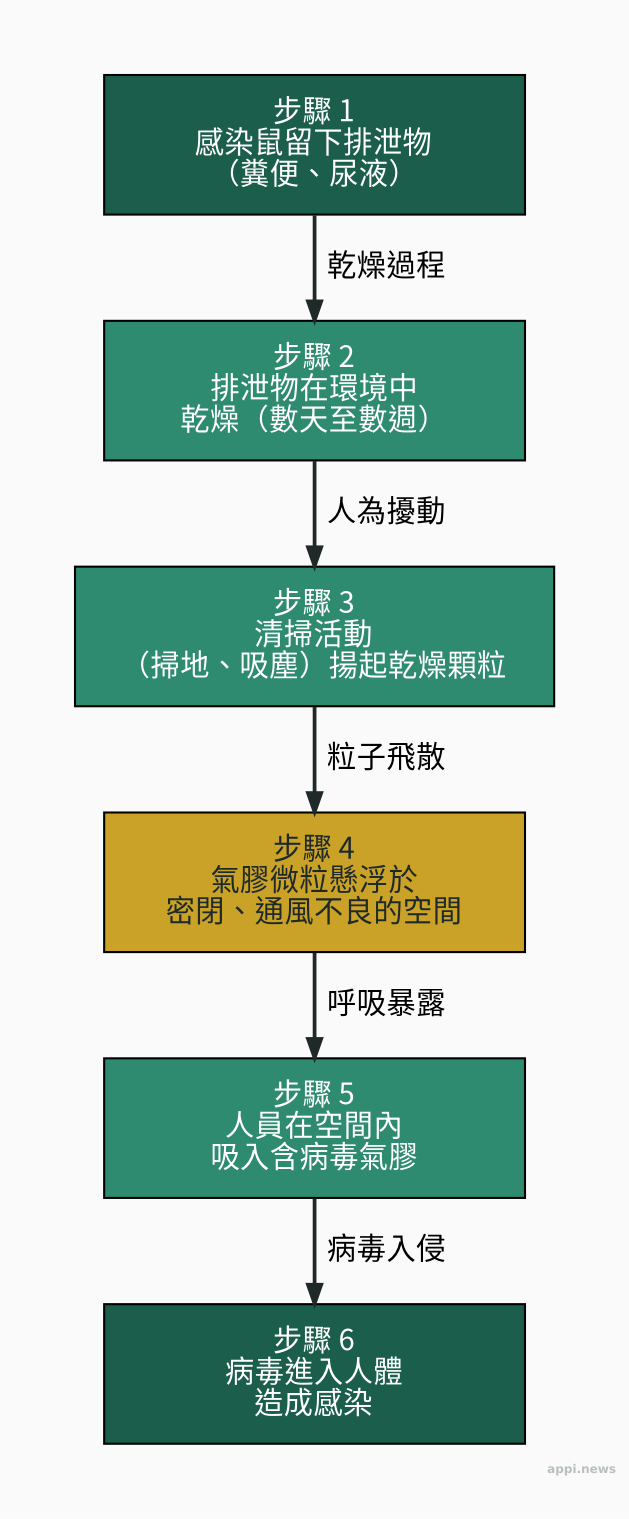 漢他病毒傳播路徑圖:感染鼠留排泄物→乾燥→清掃揚起→氣膠懸浮密閉空間→人吸入→感染