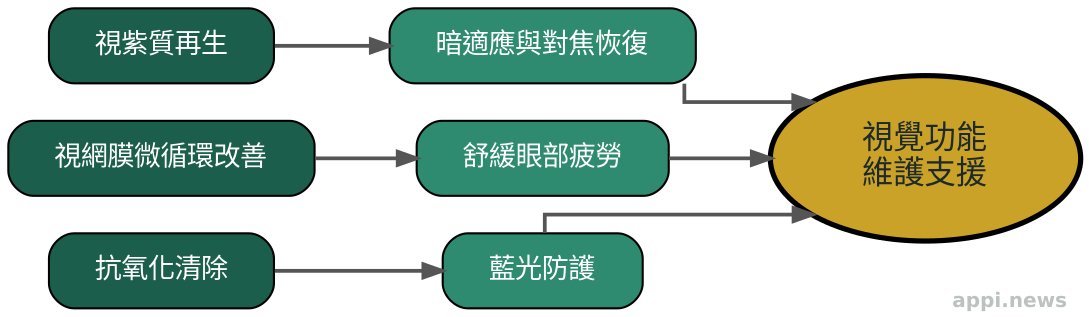 花青素護眼三大機制示意圖:視紫質再生、視網膜循環改善、抗氧化防護