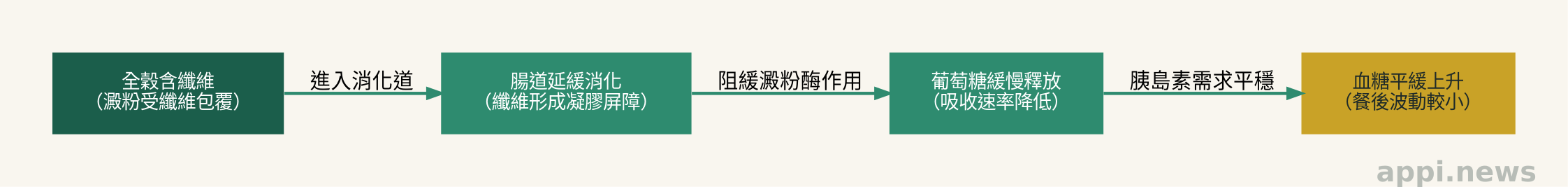 全穀類膳食纖維影響血糖的機制示意圖:纖維包覆澱粉、延緩腸道吸收、血糖平緩上升