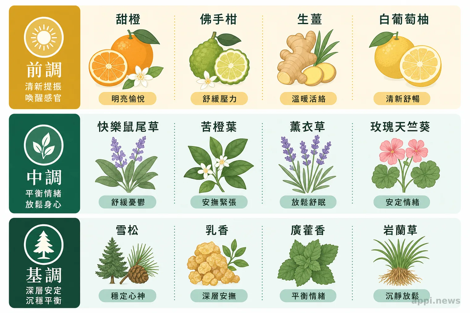 前調、中調、基調精油分層示意圖,列出各層代表精油與功能