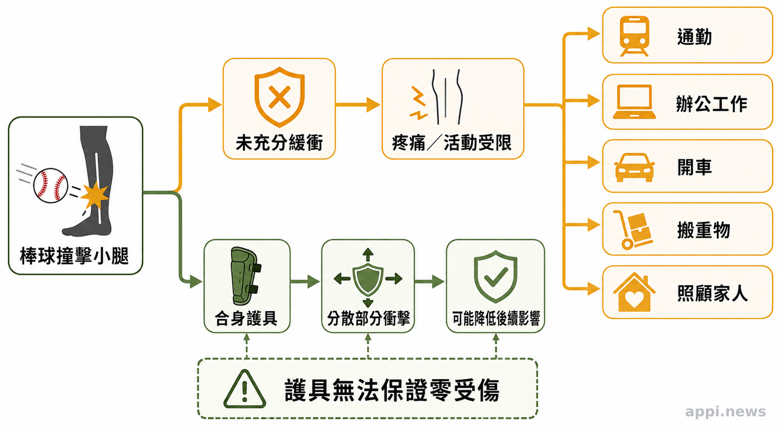 棒球撞擊小腿後分成兩條因果路徑,分別呈現未充分緩衝的生活影響,以及護具分散部分衝擊後仍可能受傷。