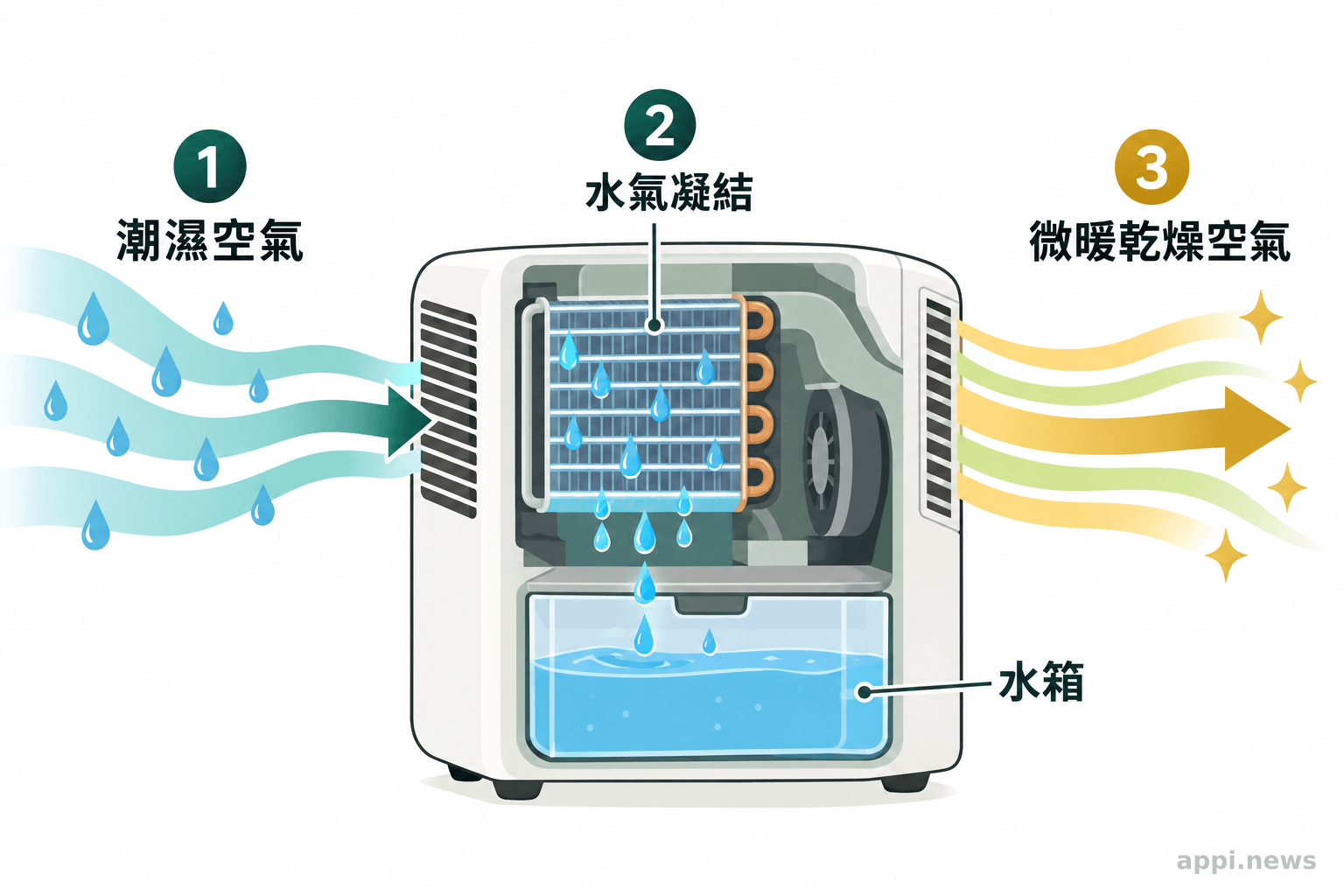 除濕機吸入室內潮濕空氣,水氣凝結進入水箱,較暖的乾燥空氣再由出風口排出