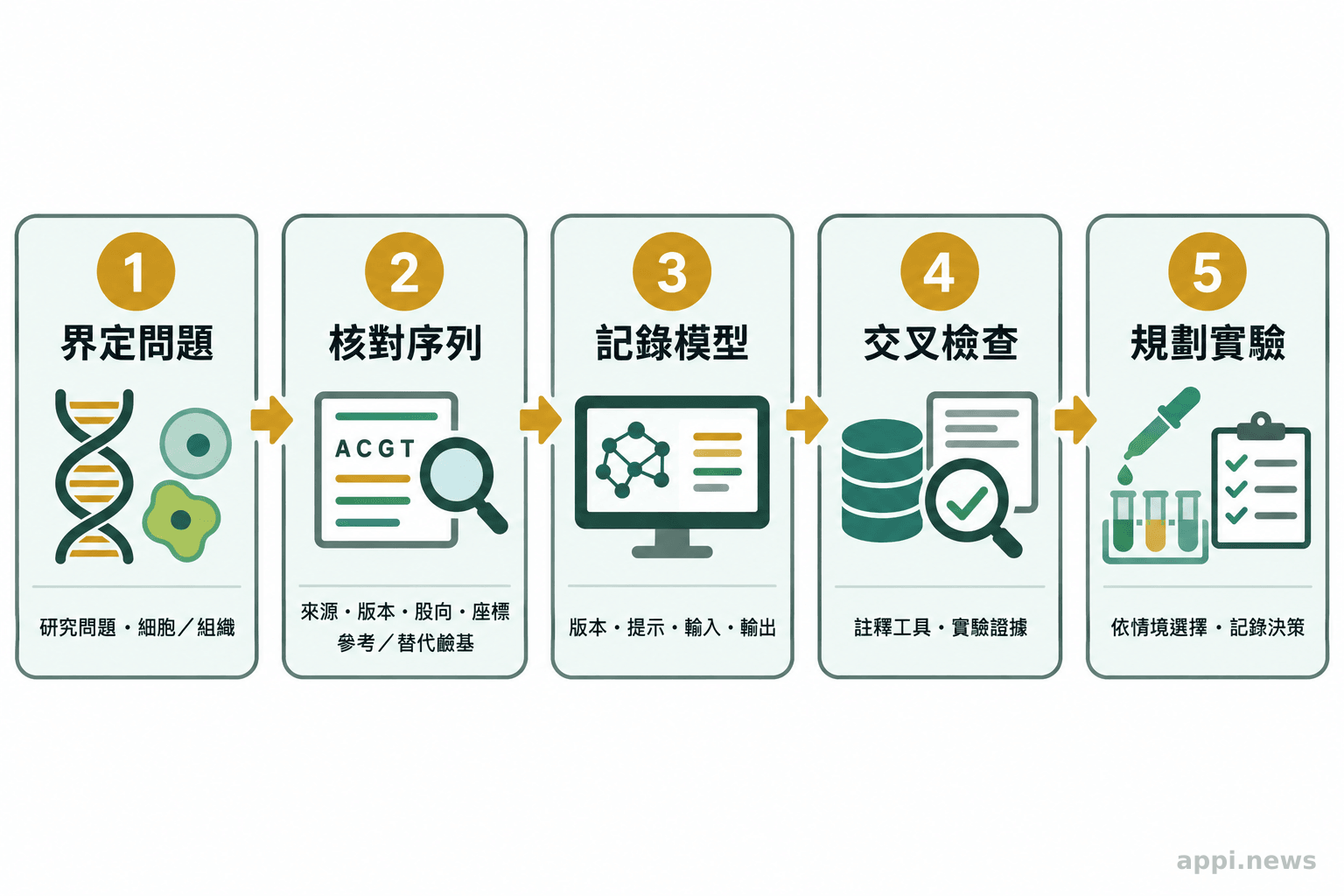五個相連節點依序呈現界定研究問題、核對序列、記錄模型資訊、交叉檢查證據與規劃適切實驗。