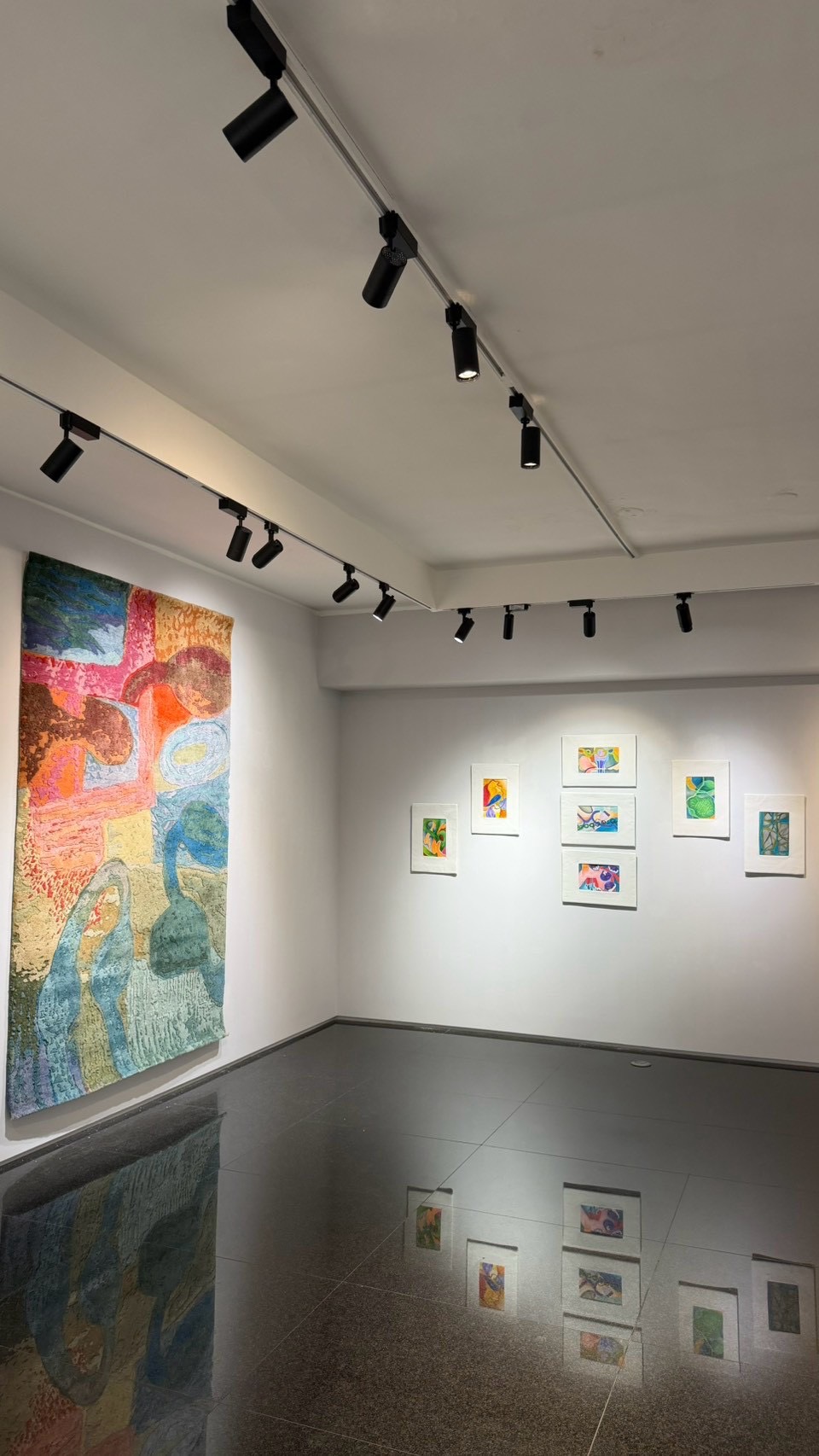 阿波羅畫廊展場全景,可見大型織品與多幅小型繪畫