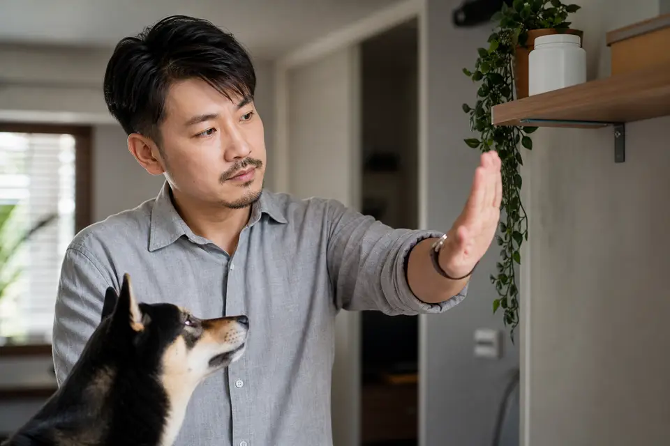 手掌停在狗狗與人用藥之間,藥品放在寵物拿不到的高處