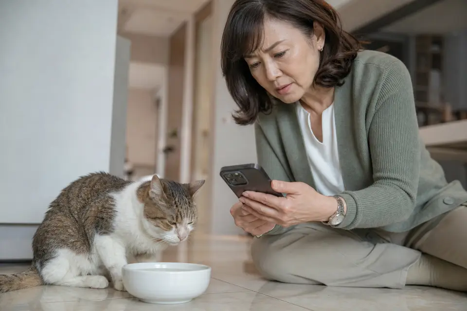 貓咪在水碗旁顯得虛弱,飼主查看牙齦與手機上的動物醫院電話,準備送醫(示意圖)