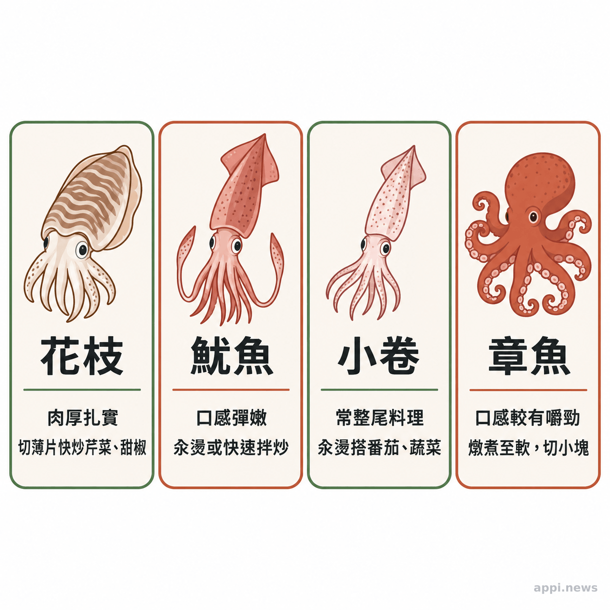 四張並列卡片分別呈現花枝、魷魚、小卷與章魚的口感及料理搭配。