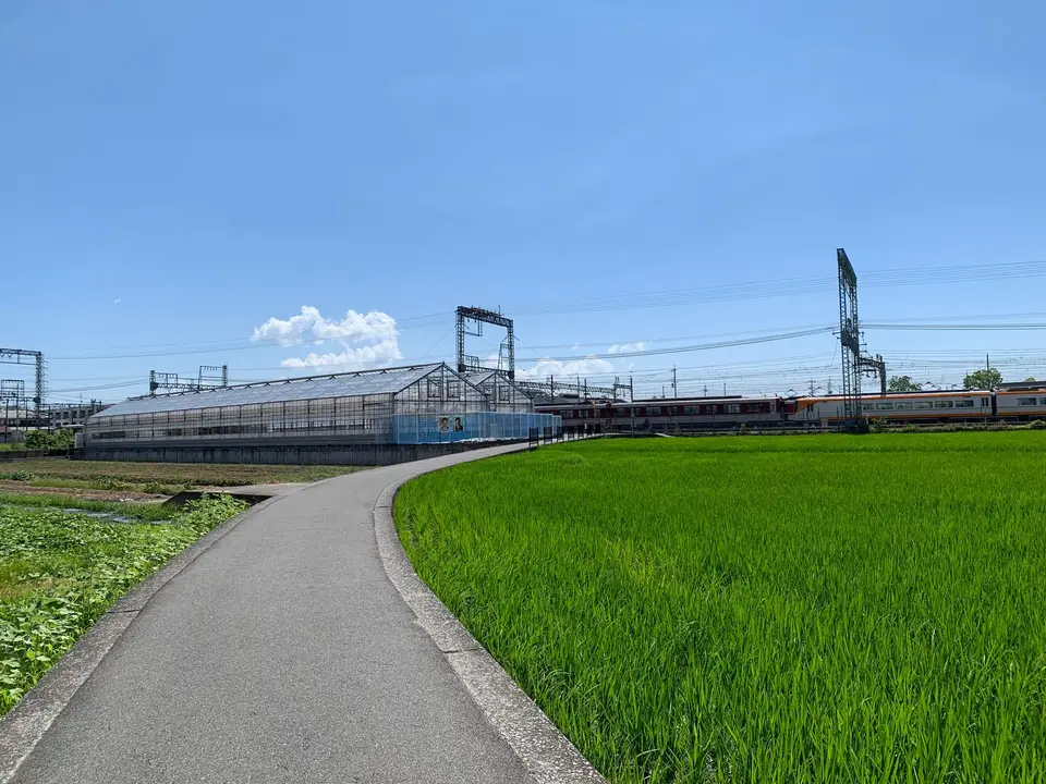 稻田與遠山旁的鄉間車站