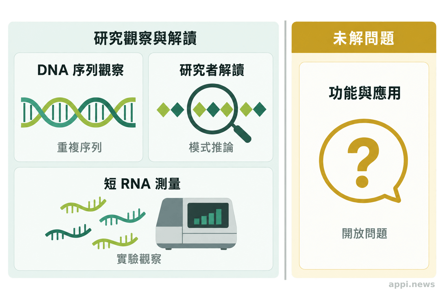 證據圖分列 DNA 序列觀察、研究者解讀、短 RNA 實驗測量,以及尚未驗證的功能與應用假設,並標出未解問題的界線。