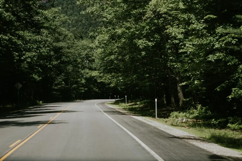 穿過林地的鄉間道路
