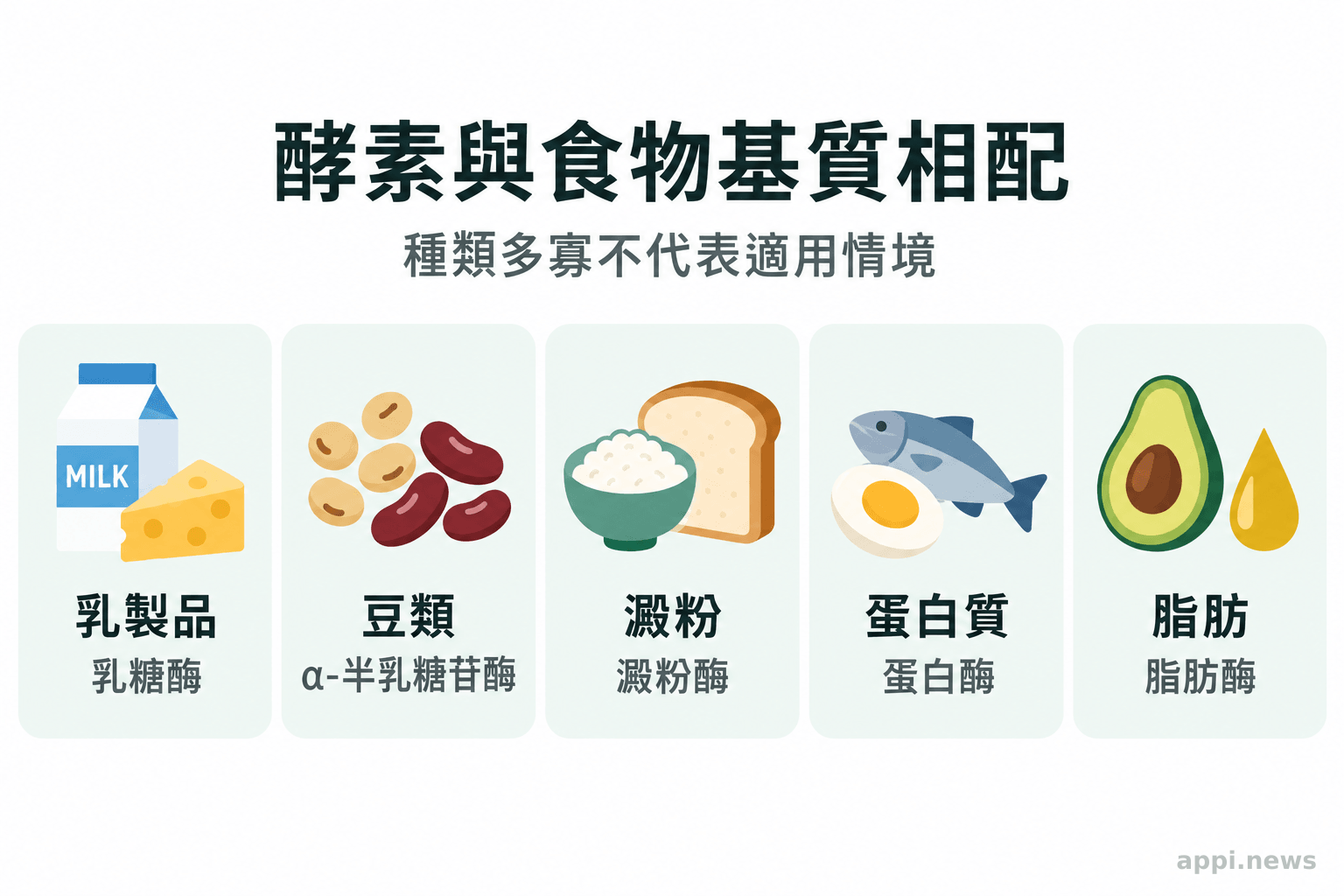 乳製品、豆類、澱粉、蛋白質與脂肪各自對應不同消化酵素的圖示