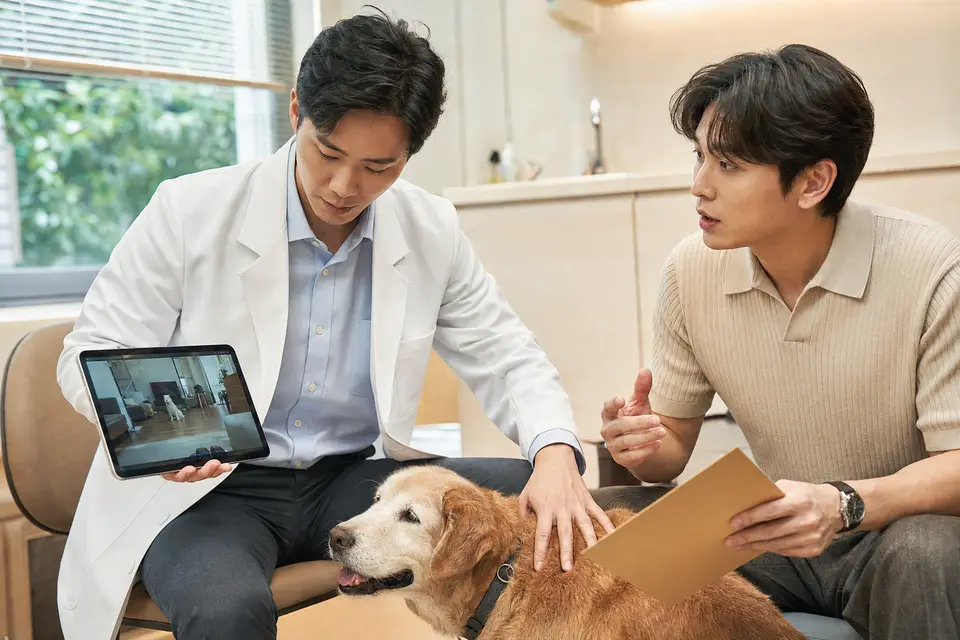獸醫師檢視狗狗的行為影片與病史,評估幼犬、高齡犬、孕犬和慢性病犬的不同風險(示意圖)