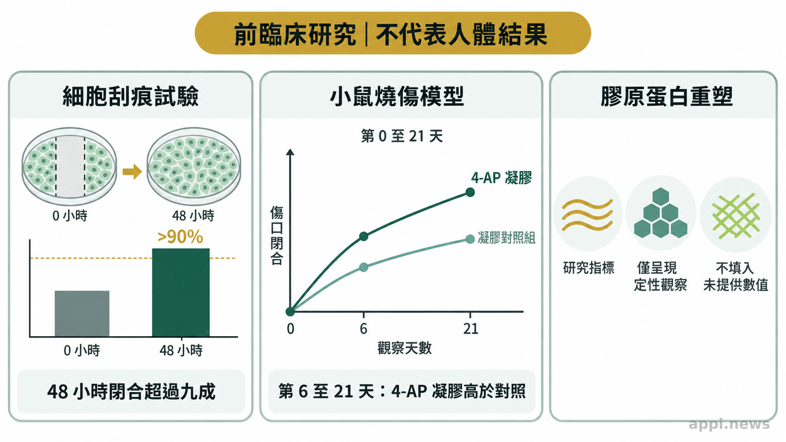 圖表分區呈現細胞刮痕試驗、小鼠燒傷模型第0至21天傷口閉合趨勢，以及膠原蛋白重塑指標