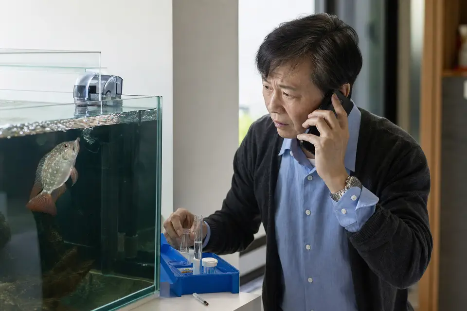 觀賞魚在水面附近急促呼吸,旁邊放著水質檢測工具,呈現需要立即尋求魚病專業協助的警訊