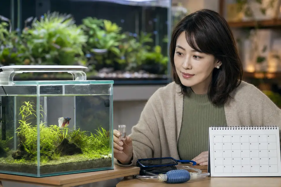 新魚在獨立檢疫缸中觀察,旁邊有日曆、專用網具與水質測試工具,呈現至少30天隔離預防