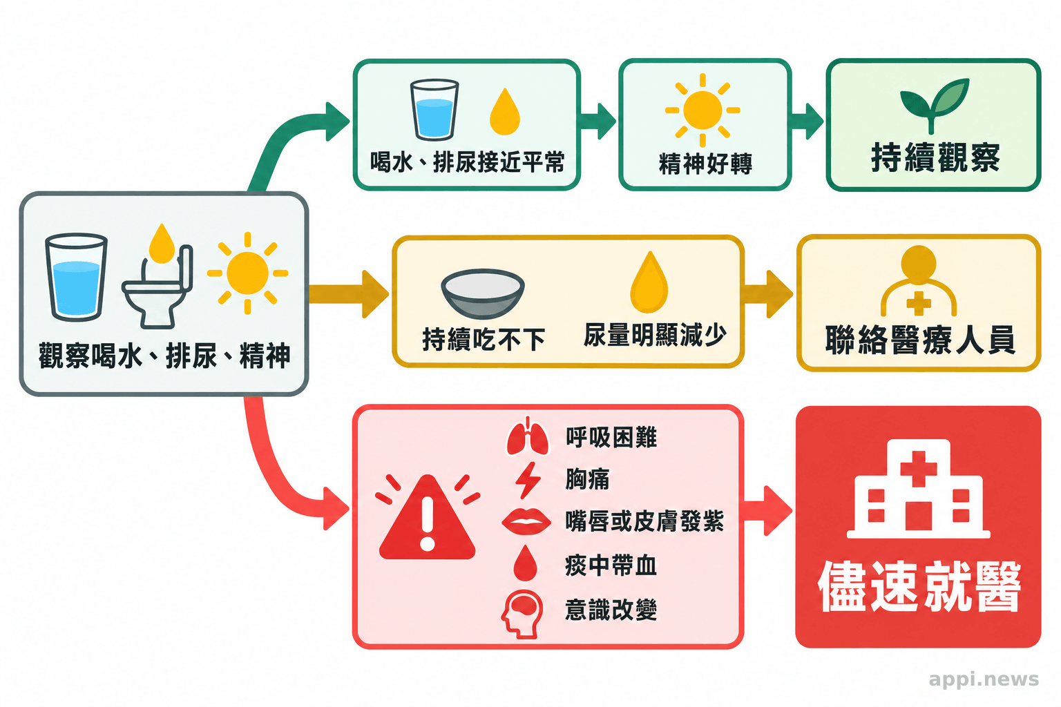 流程圖由飲水、排尿與精神狀況分出觀察、聯絡醫療人員及立即就醫三條路徑