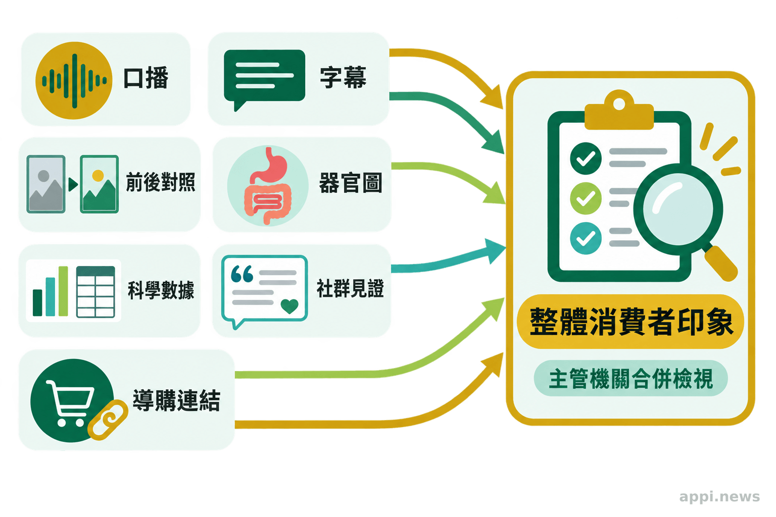 口播、字幕、前後對照、器官圖、科學數據、社群見證與導購連結,沿箭頭匯入整體印象審查。