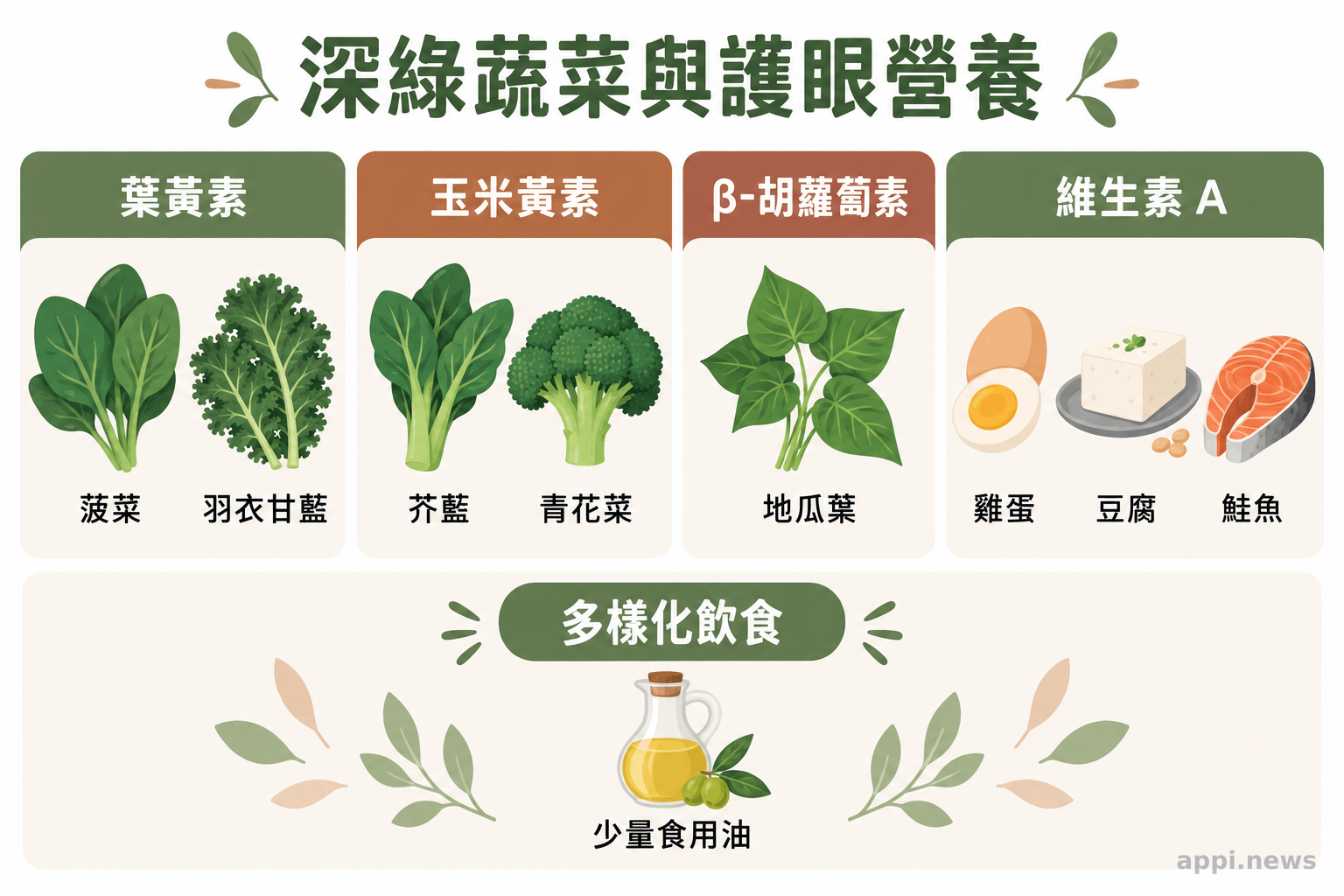菠菜、羽衣甘藍、芥藍、青花菜、蛋、豆腐與鮭魚分組呈現相關營養素來源