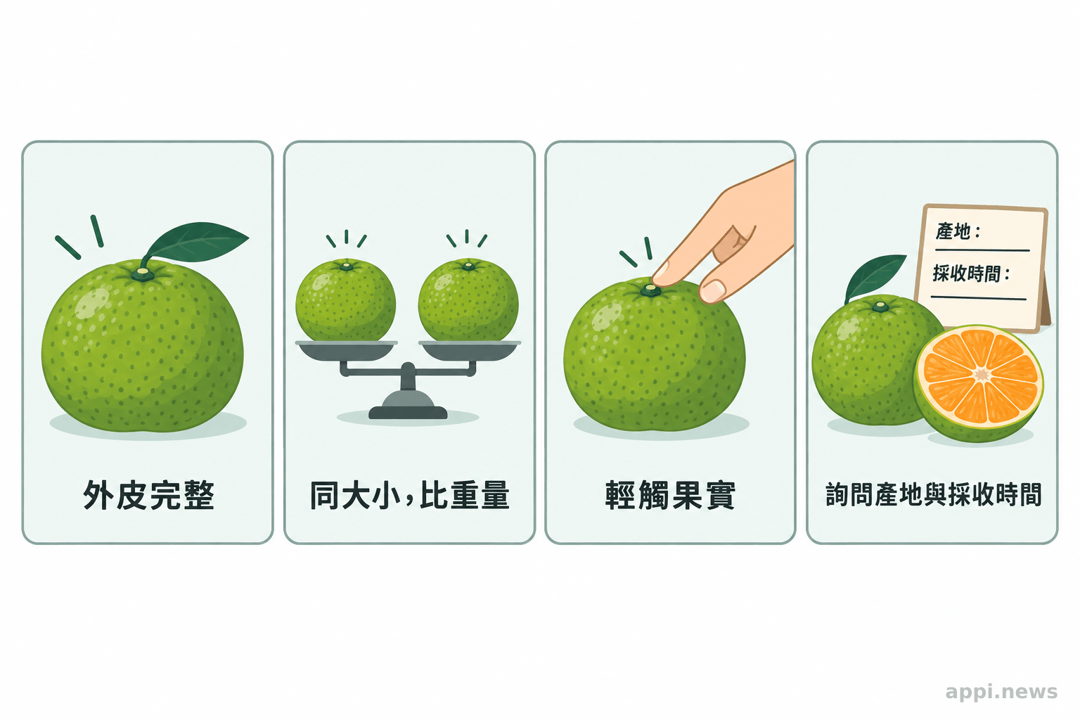 挑選青皮椪柑時檢查外觀、比較重量、輕觸果實並詢問產地的步驟圖