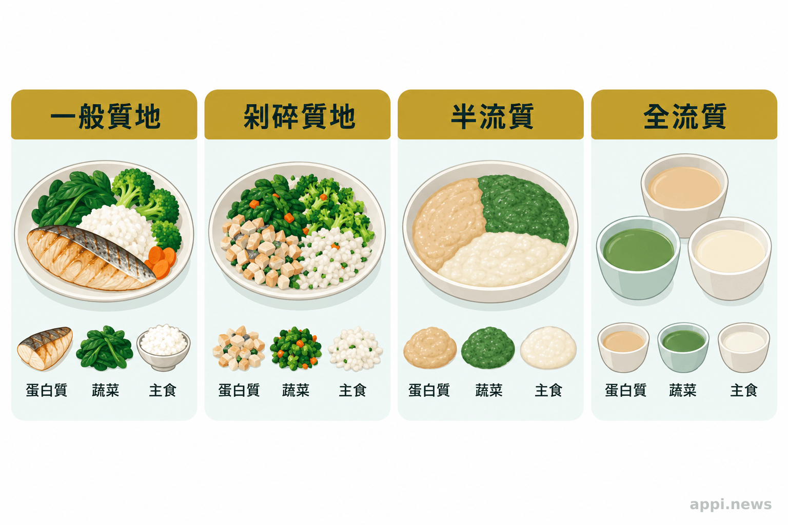 四格餐點比較普通、剁碎、半流質與全流質質地,各自搭配蛋白質、蔬菜和主食。