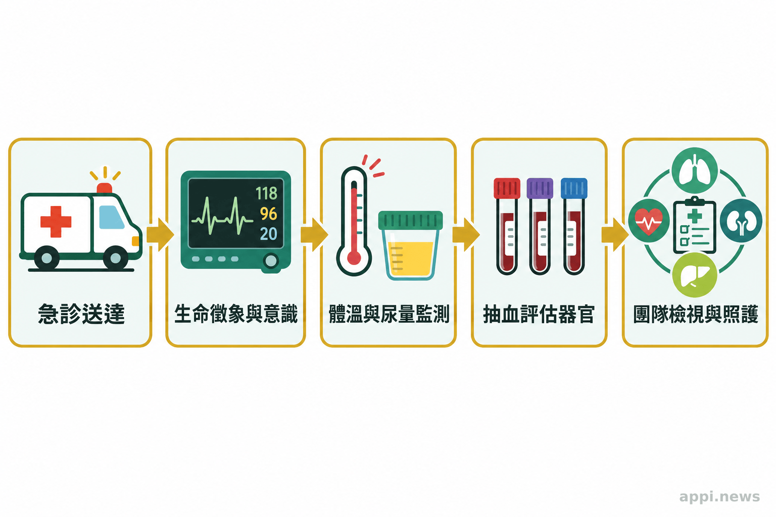 醫療團隊依序評估患者生命徵象與意識、監測體溫和尿量、安排抽血檢查，再共同檢視結果與後續照護