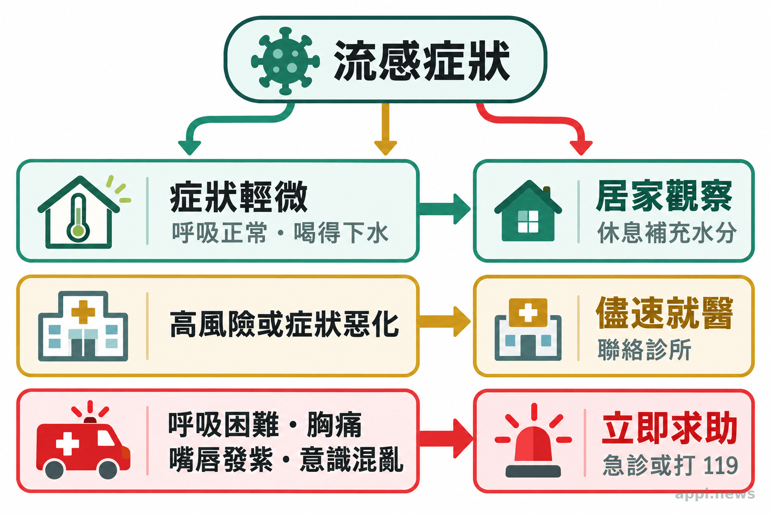 流感症狀判斷圖以箭頭連接居家觀察、儘速就醫與立即求助三種處置。