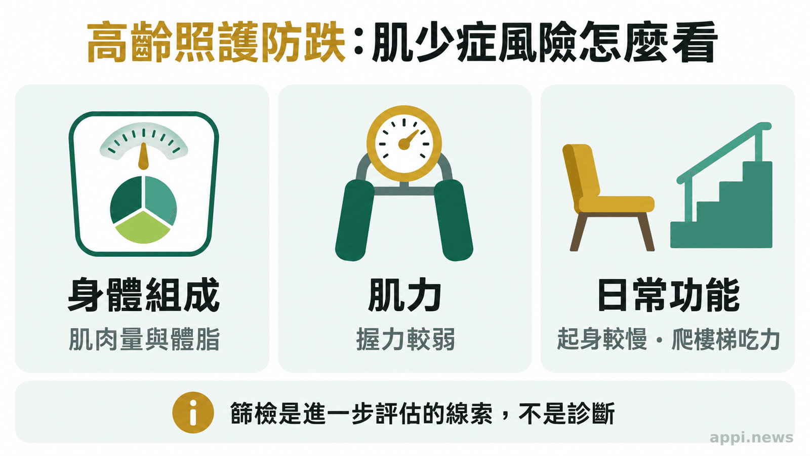 資訊圖以身體組成、肌力與日常身體功能三個並列面向,說明肌少症風險需要綜合判讀。