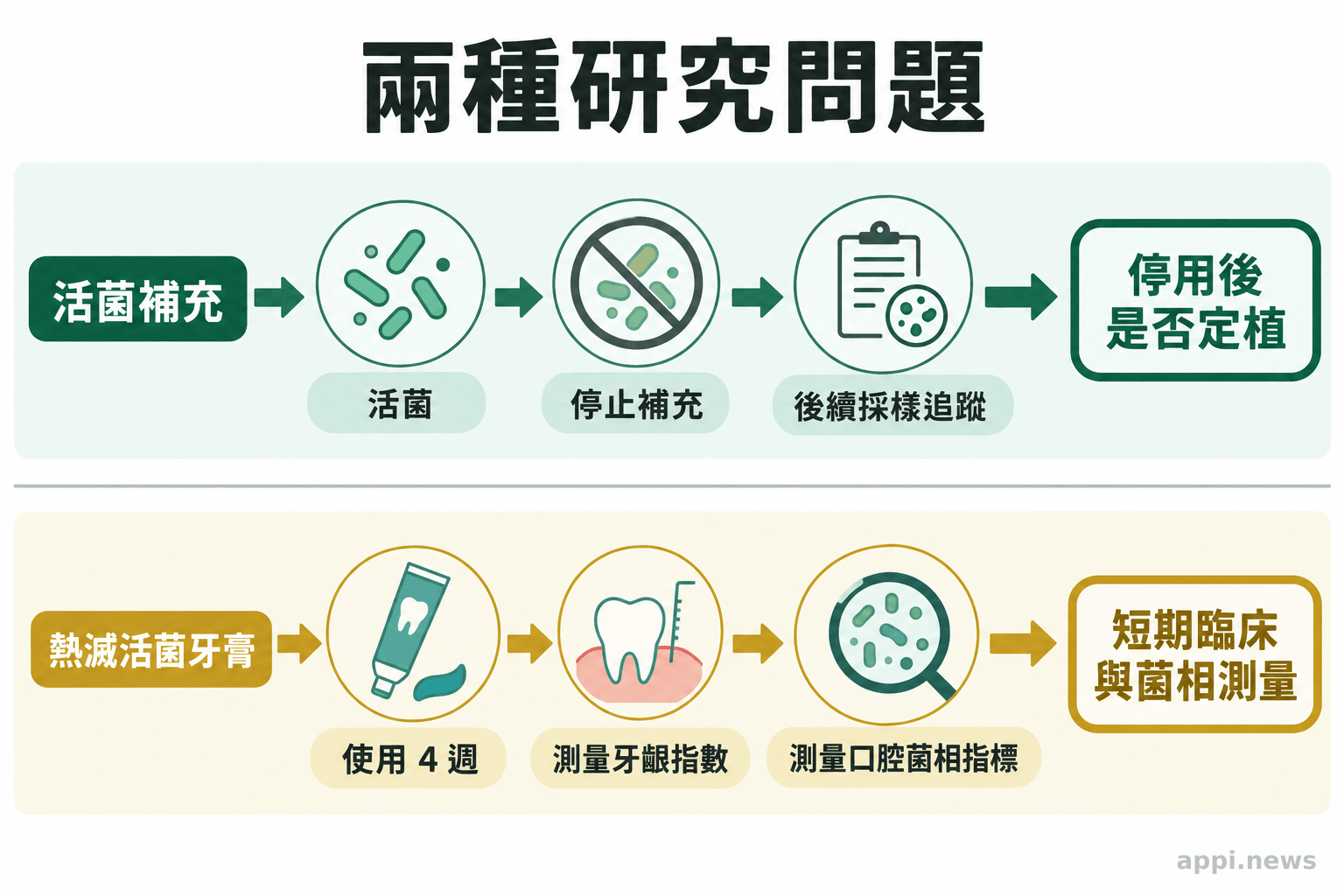 兩條研究路徑分別呈現活菌停用後追蹤與熱滅活菌牙膏使用四週後測量指標