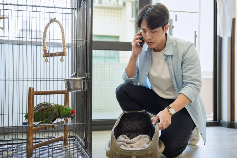 鳥類獸醫查看不同生命階段鸚鵡的照護紀錄，呈現幼鳥、高齡與產蛋個體需要個別評估