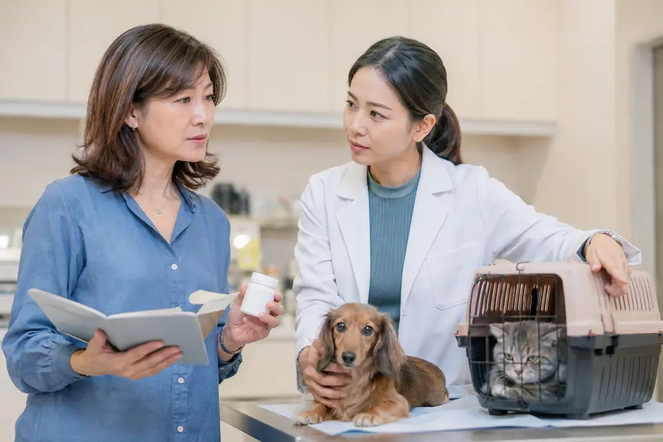 動物醫院內獸醫師評估狗狗與貓咪,飼主拿著健康紀錄,呈現不同年齡與病史需要個別評估(示意圖)