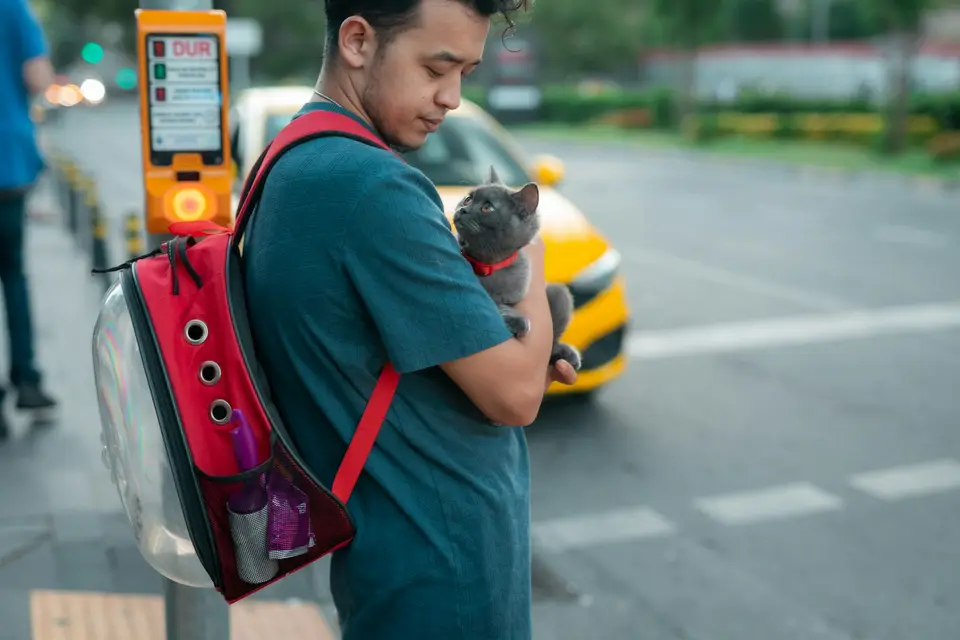 飼主抱著狗貓查看手機上的動物醫院急診電話,準備立即送醫(示意圖)