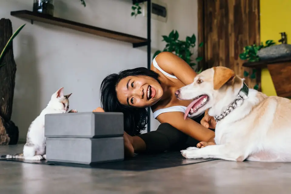 完成寵物登記後，飼主持著登記證與犬貓在家中安心合照（示意圖）