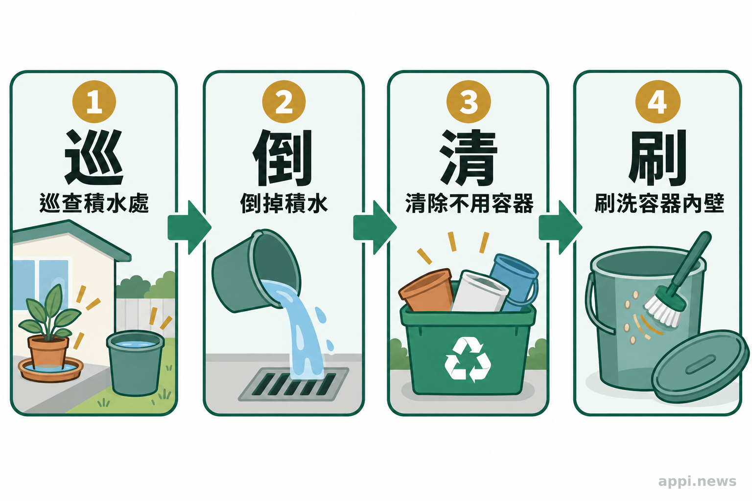以箭頭依序連接巡查積水、倒掉積水、清除不用容器、刷洗使用中容器內壁的四個步驟