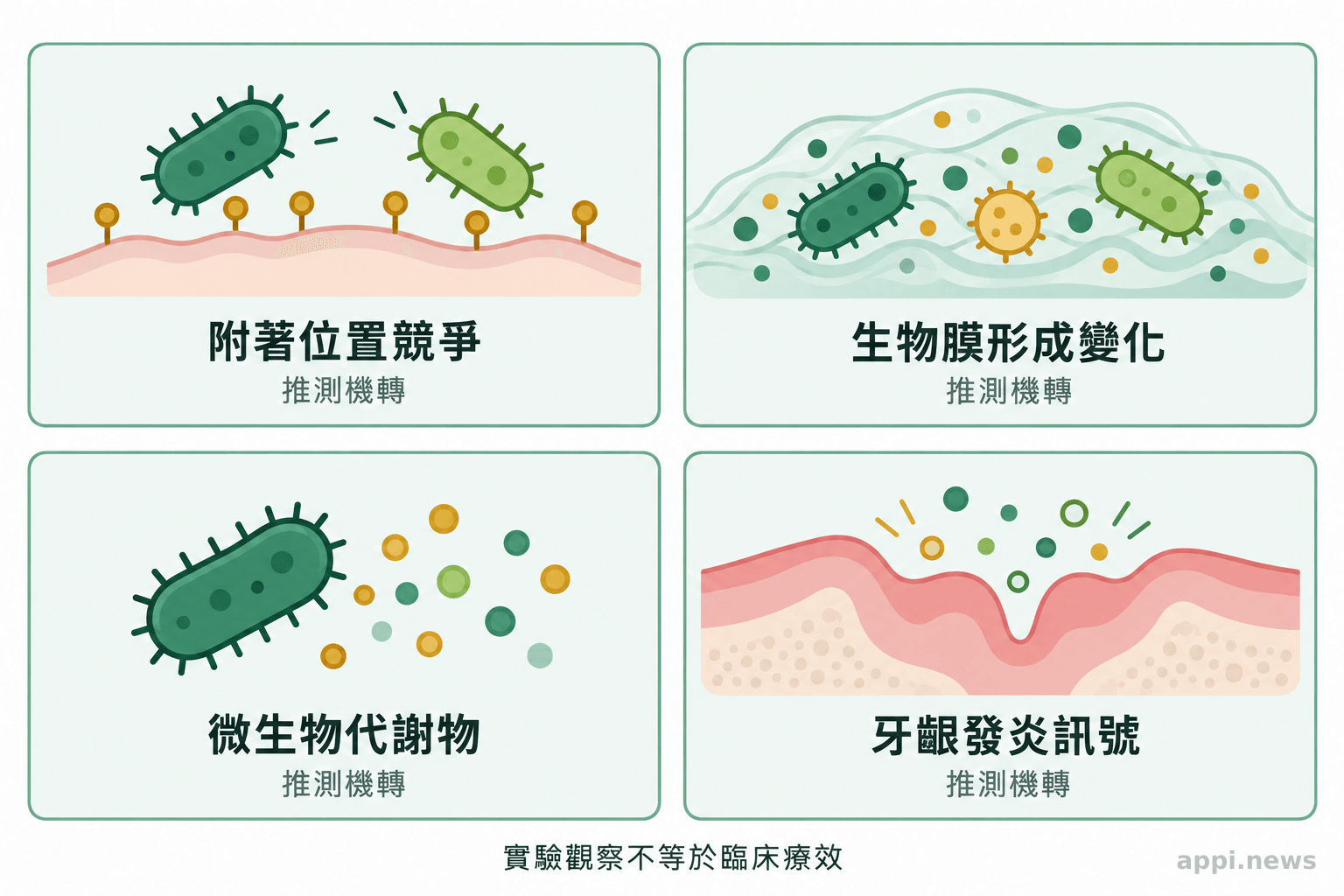 四格圖分別呈現附著位置競爭、生物膜形成變化、微生物代謝物與牙齦發炎訊號