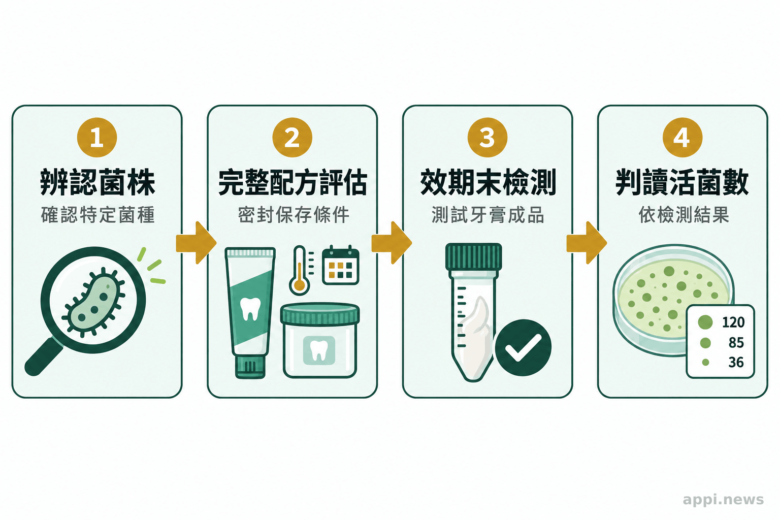 流程圖由菌株辨認開始,經完整牙膏配方與保存條件評估,再到效期末成品檢測及菌數判讀。