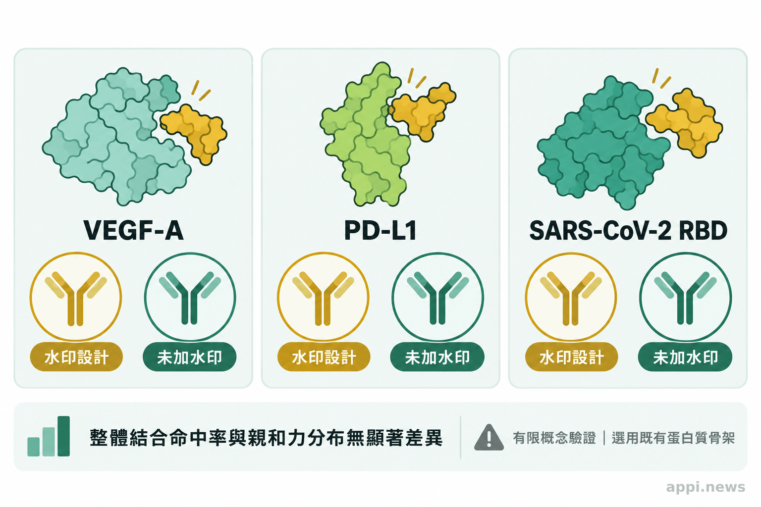 三個並列區塊列出 VEGF-A、PD-L1 與 SARS-CoV-2 RBD,分別呈現水印與未加水印的設計結合蛋白測試組
