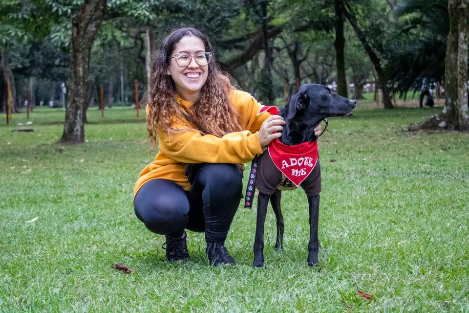 志工牽著收容所犬隻散步，呈現通報前確認官方聯絡管道的情境（示意圖）