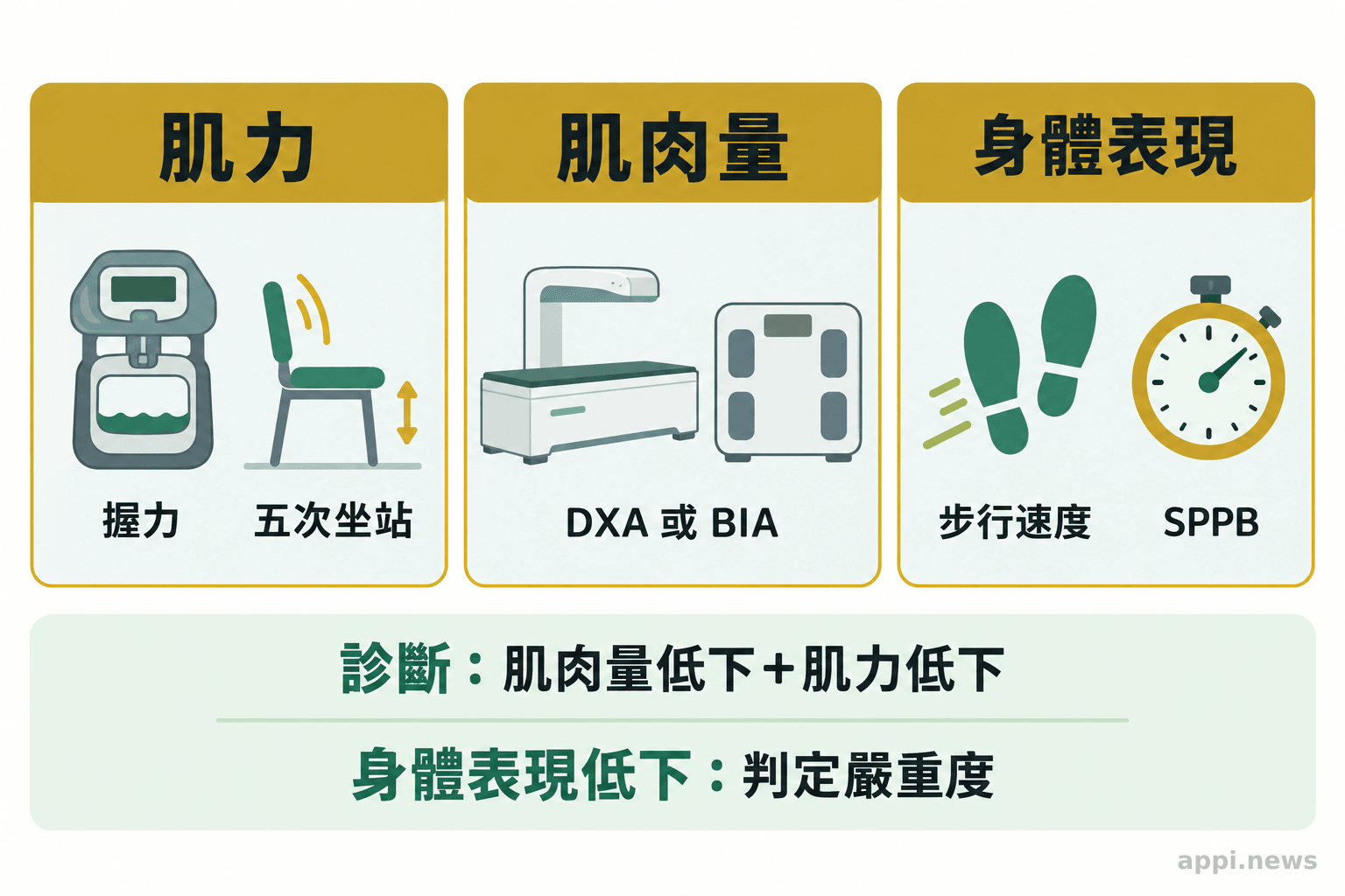 三個並列評估區塊呈現握力與坐站測試、DXA 或 BIA 肌肉量測量,以及步行速度或 SPPB 身體表現檢查