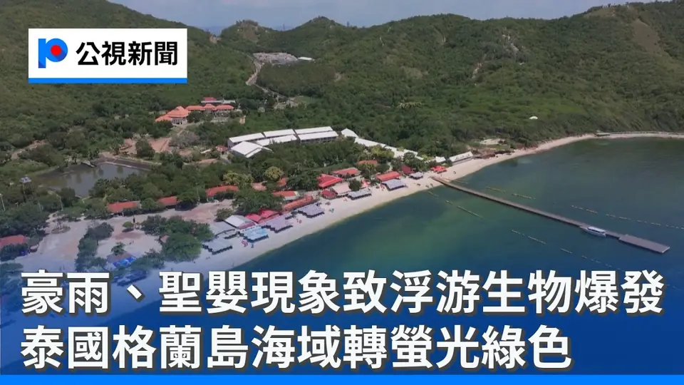 （2026-10-02）豪雨、聖嬰現象致浮游生物爆發 泰國格蘭島海域轉螢光綠色 ｜20261002 8點新世界