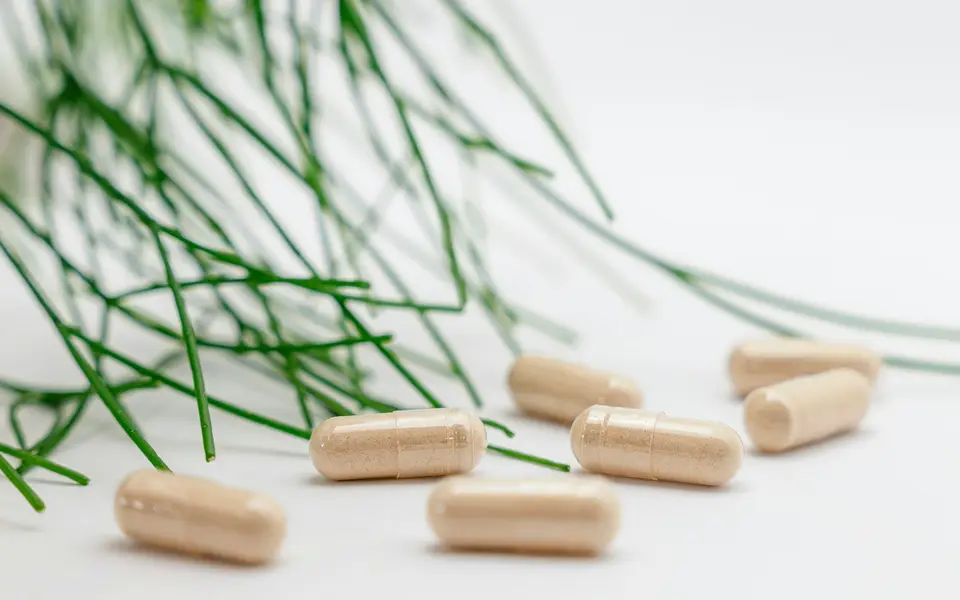 南非醉茄根粉與膠囊保健食品排列