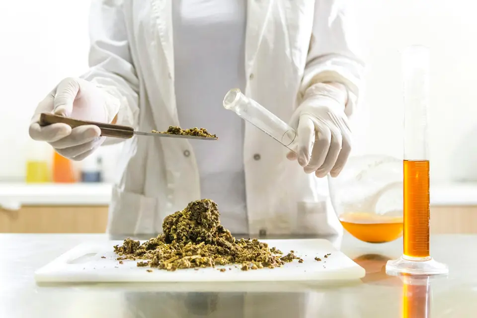 食品檢驗人員在實驗室處理粉末與液體樣本