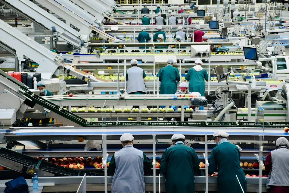 食品工廠生產線與品管作業，呈現補充品成分和製程需要分開判讀的情境