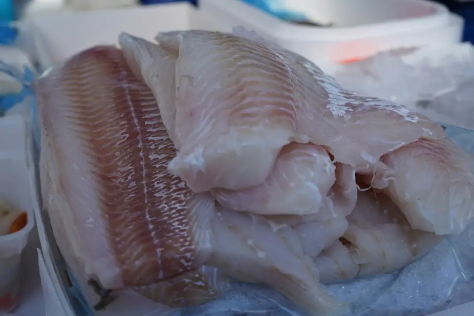 台灣鯛以魚片與加工品進入國內外市場 冷藏展示中的白色魚片,呈現水產品加工與零售場景